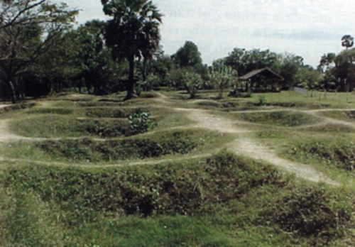 Cambodia Fields